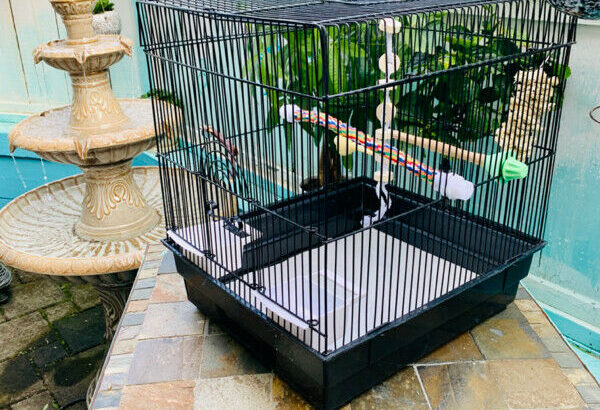 Small Bird Cage