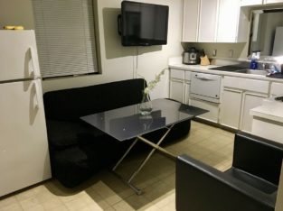 ONE LARGE MICRO-SUITE OFF ROBSON/BUTE