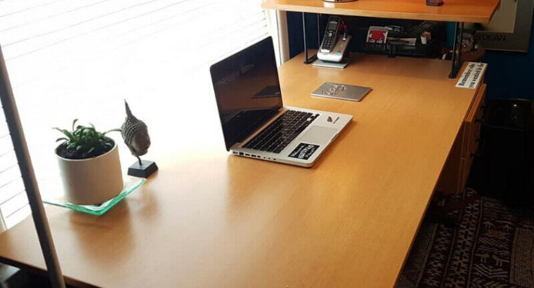 Sleek and Modern Office Desk