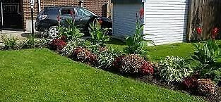 Landscaping, Landscaping Maintenance, Lawn Mowing, Top Soil