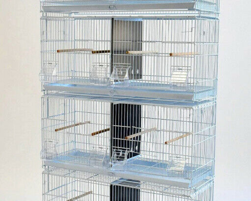 Wanted: Bird cage for breeding