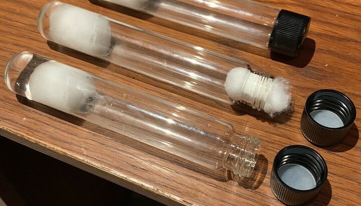 Large test tube set up (for ant colonies or other)