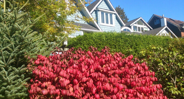 Kitsilano House Share