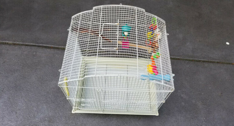 Bird Cage with accessories