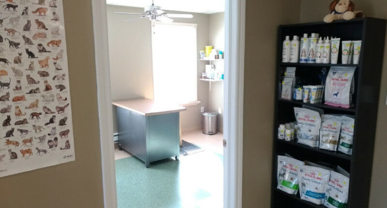 Veterinary Clinic REDUCED. Now $199,000.