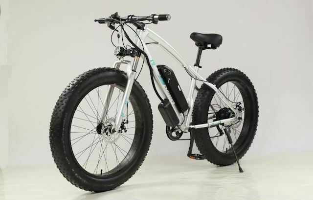 NEW ELECTRIC BIKE AUCTION (ON-LINE ONLY)