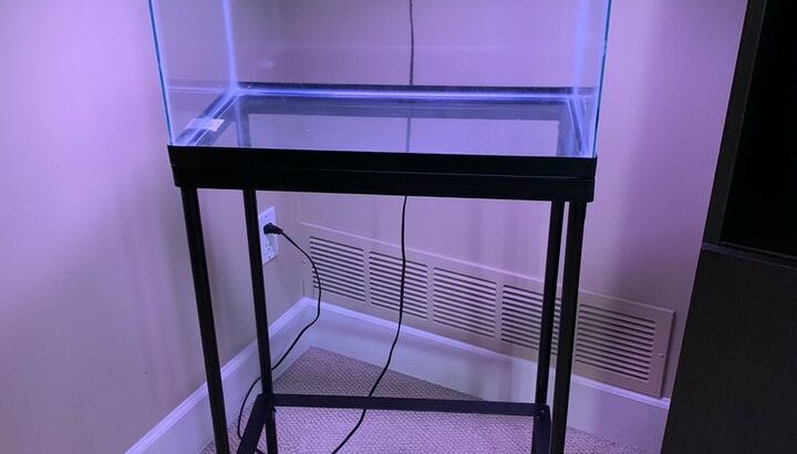 10 Gallon Aquarium/ fish tank; cover with light, and stand