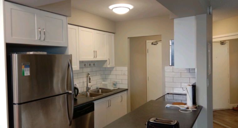 Apartment for share (Lougheed Skytrain)