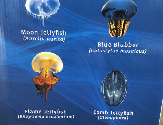 Aquarium Fish tank Jellyfish. 23 litre. LED. Stylish. Brand-new.