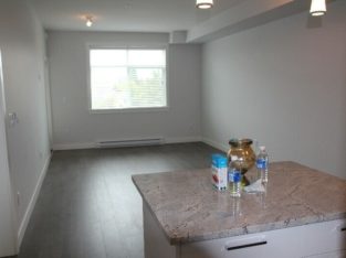 Brand new 3 Bed 2 Bath apartment is renting now