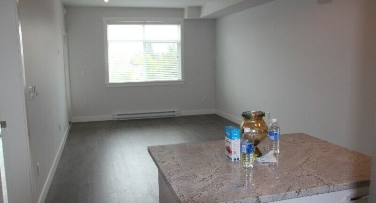 Brand new 3 Bed 2 Bath apartment is renting now