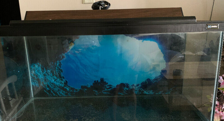 30 Gallon HAGEN fish Tank with stand