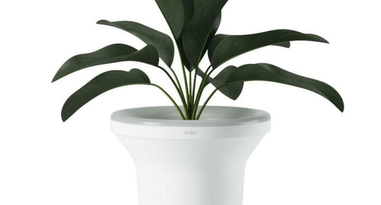 Ora Illuminated Planter