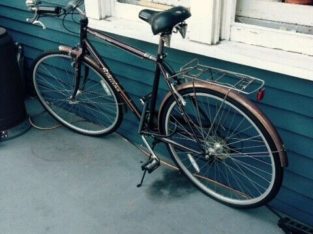 Bike (old school)