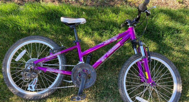 Small Used Children’s Bike With Gears