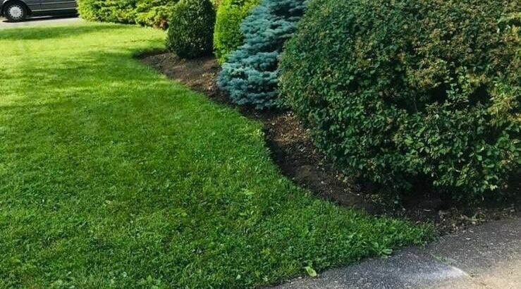 Landscaping Services: Taking New Clients