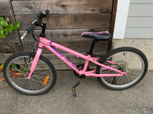Single speed medium easy rider classic Bicycle – pink