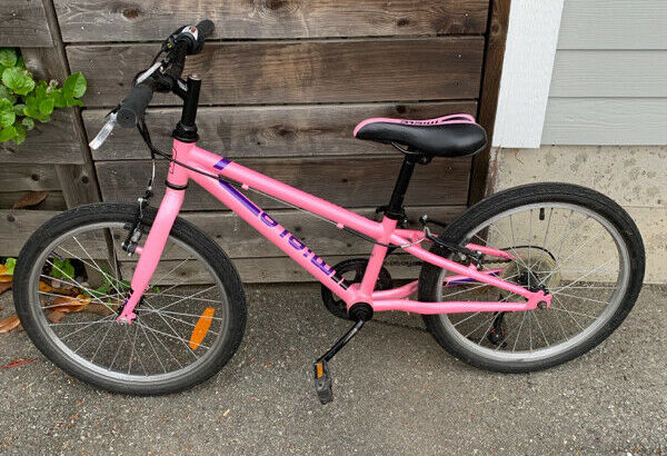 Single speed medium easy rider classic Bicycle – pink