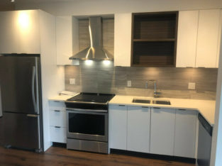 BRAND NEW Royal Oak 1 Bed + Den Unit for rent-Cat friendly