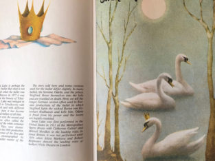 Ballet Stories for Children – Fantastic Illustrations Book