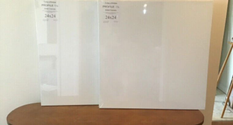 Many artist canvases $50.00