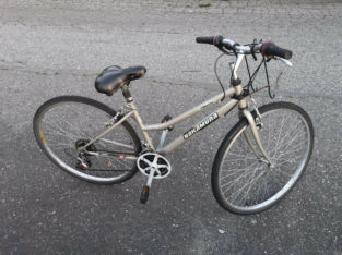 7 speed bicycle