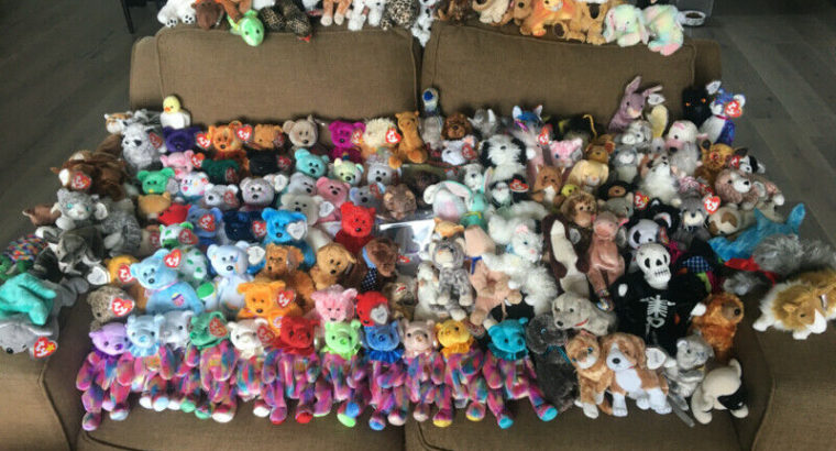 TY Beanie Baby and Buddy Collection