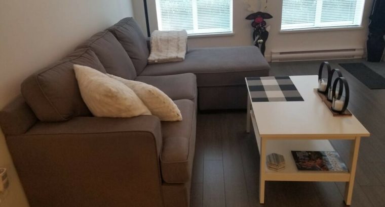 Moving Sale , sofa bed , dining table , chairs , stools ect