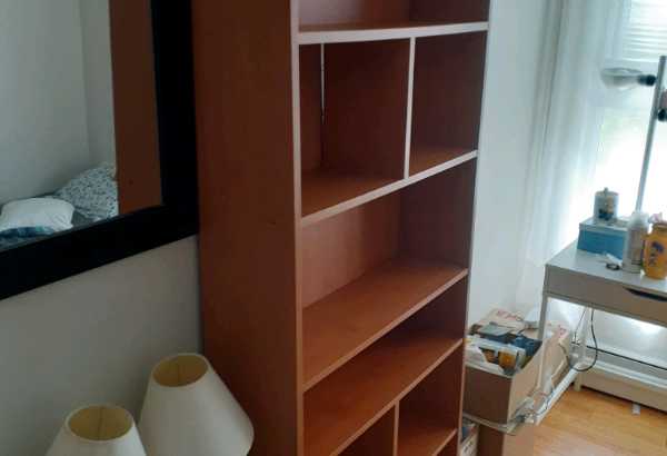 Book shelve/Shelve unit