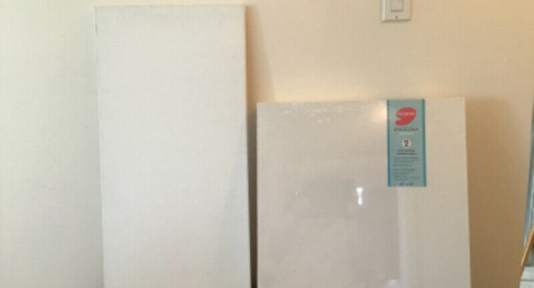 Many artist canvases $50.00