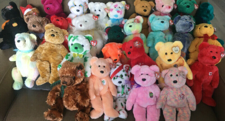 TY Beanie Baby and Buddy Collection