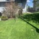 Lawn cutting services