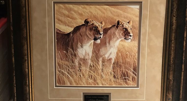 AFRICAN AMBER – LIONESS PAIR by Robert Bateman