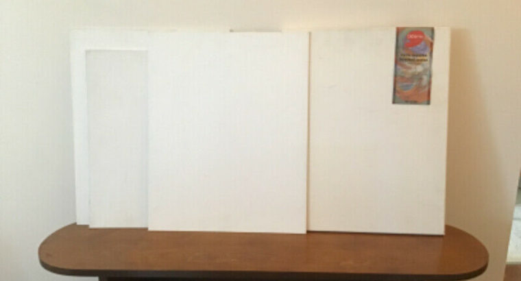 Many artist canvases $50.00