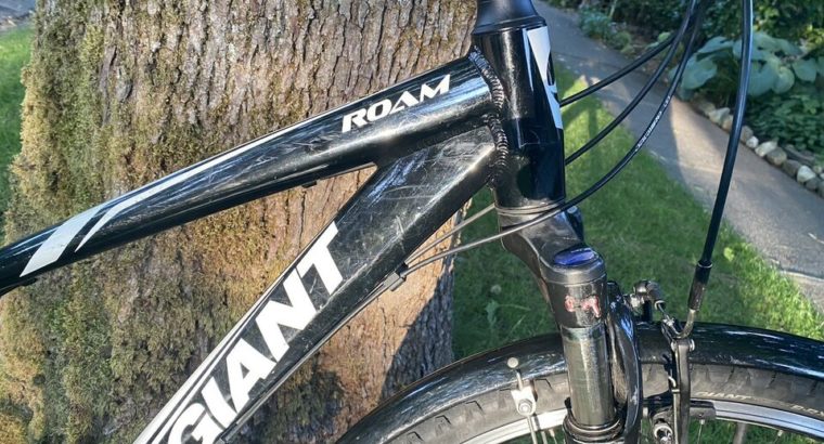 Giant Roam hybrid commuter