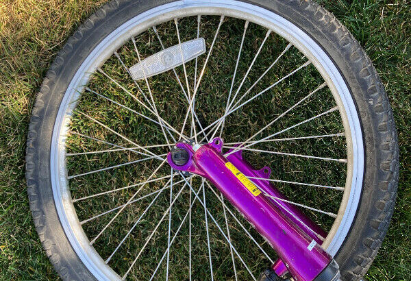 Small Used Children’s Bike With Gears