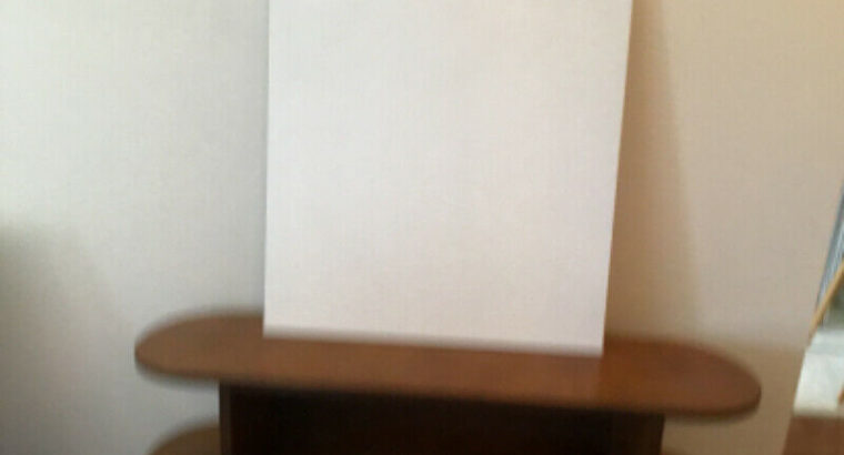 Many artist canvases $50.00