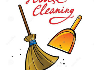 CLEANING SERVICES $25/hr CALL 306-501-9156