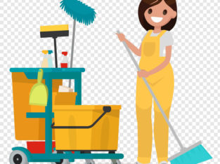 New West Home Cleaner