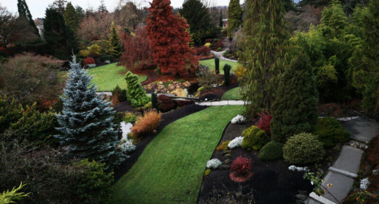 Landscaping and maintenance