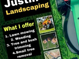 Lawn care services