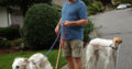 Trusted Pet and House Sitter – Many Years of Pet Care Experience