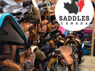 New and used English and Western Saddles