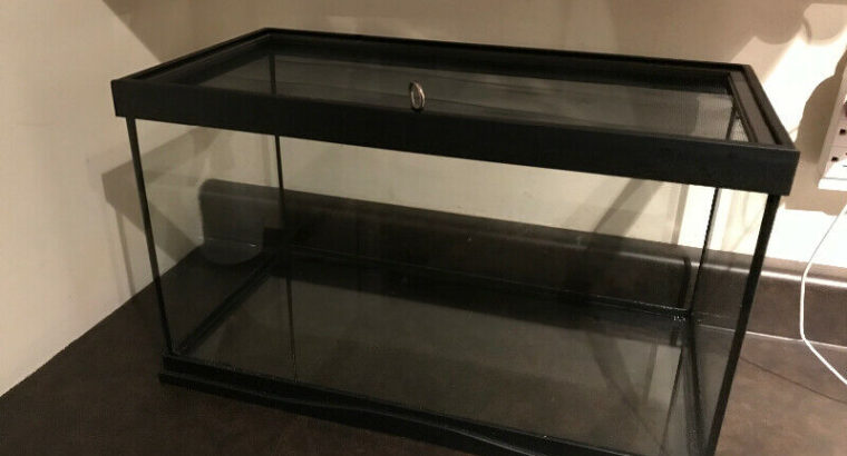 10 gallon tank/terrarium with lid + hermit crabs accessories