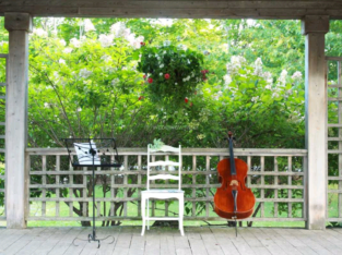 Solo cello for wedding