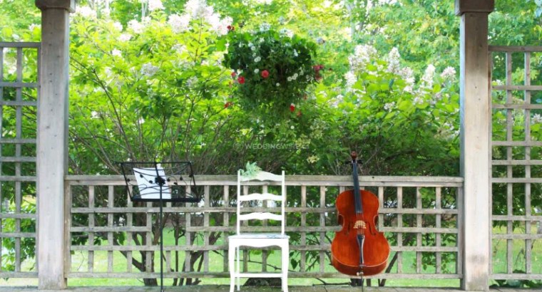 Solo cello for wedding