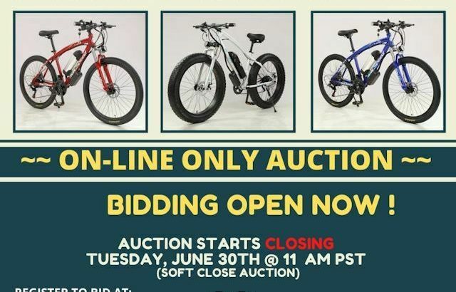 NEW ELECTRIC BIKE AUCTION (ON-LINE ONLY)