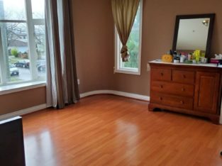 Private furnished room near 29th skytrain station Female only
