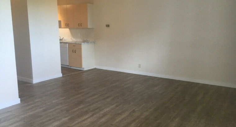 Two bedroom, 1.5 bath apartment for rent