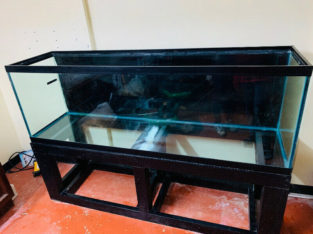 140 gallon fish tank!!!